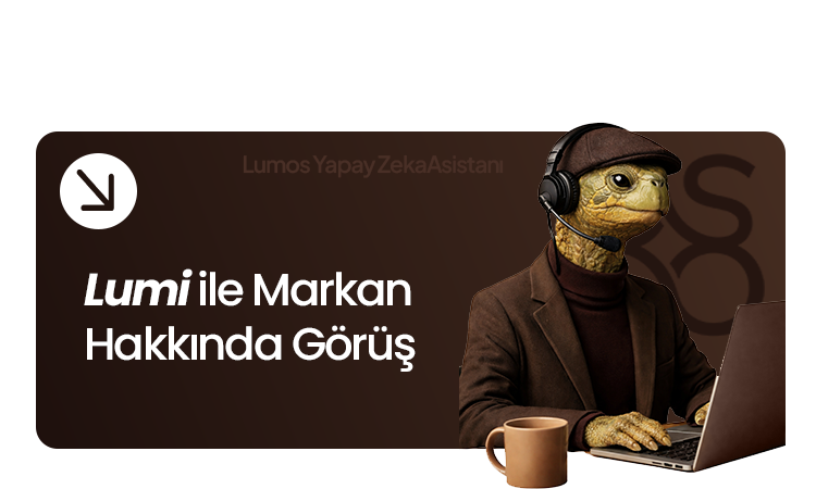 Lumi AI Asistanı